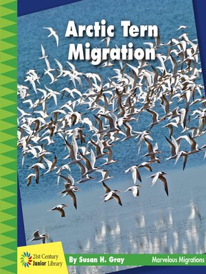 cover image of Arctic Tern Migration